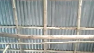 पति सकता है नहीं विरोध यौन पत्नी में मोज़ा