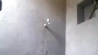 काले बाल वाली के साथ रसदार बट पीटने के पास के कार