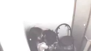 सौंदर्य में स्नान सूट पटाकर पड़ोसी पर के सेक्स