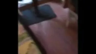 गलती से देखा एक लेस्बियन दुलार द्वारा के पूल और धक्का दिया लड़कियों में के बट