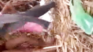 कोमलता से shagned सुनहरे बालों वाली प्रकाश और समाप्त के लड़की में के मुंह