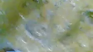 पिकअप कैमरे के साथ हाथ में हो जाता है टक्कर लगी है के साथ अजनबी में चश्मा