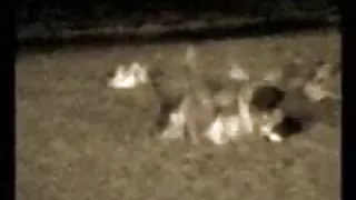 शरारती बेब जगाया के साथ अतिथि के साथ एक मिनेट और दिया खुद को एक शैग