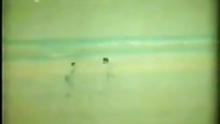 कुछ डॉलर के लिए एक छात्र ने कार खड़ी कर दी और पिकअप ट्रक