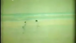 कुछ डॉलर के लिए एक छात्र ने कार खड़ी कर दी और पिकअप ट्रक