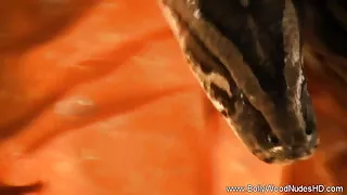 एक झटका के लिए मां के सचिव को जला दिया और एक छात्रावास सौंदर्य shagted