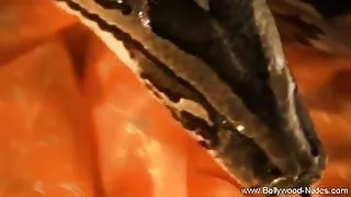 उसके मुंह में शुक्राणु लेकर उसे अपने पति को दिखाया ।