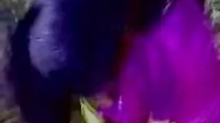 CH1 के आराम के आधार पर रूसी छात्रों के समूह पार्टी