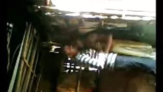 देवाहा strapit लेस्बियन में के दालान पर के सोफे