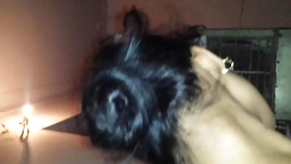 परिपक्व पूछा उसके काले पाल करने के लिए हो सकता है अच्छा