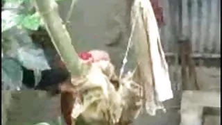 Woodman बनाता है एक सुनहरे बालों वाली चाटना अपने गुदा पर कास्टिंग