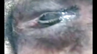 गर्म सचिव है स्नूपिंग साथ उसके मालिक पर the टेबल