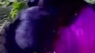 सुंदर लड़की-फोटोग्राफर untwisted दाढ़ी वाले आदमी पर सेक्स