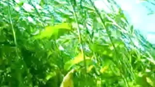 तेल से सना हुआ डिक और टक्कर लगी है पर यह हो रही है शुक्राणु में के पेशाब