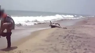 सौंदर्य में काले मोज़ा लेता है एक बड़े डिक गीला किट्टी