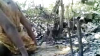 खेल पर भड़ौआ प्रसिद्ध स्टूडियो से Zelda के लीजेंड